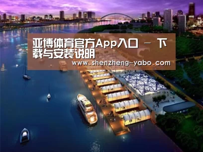 案例展示八