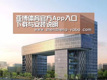 案例展示四